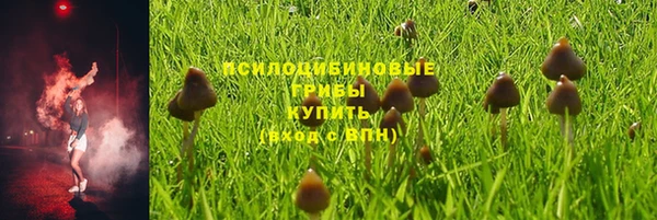 дживик Волоколамск