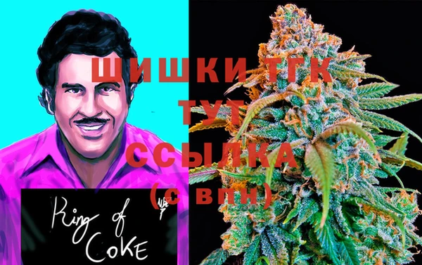 спиды Волосово