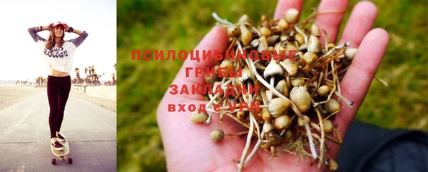 дживик Волоколамск