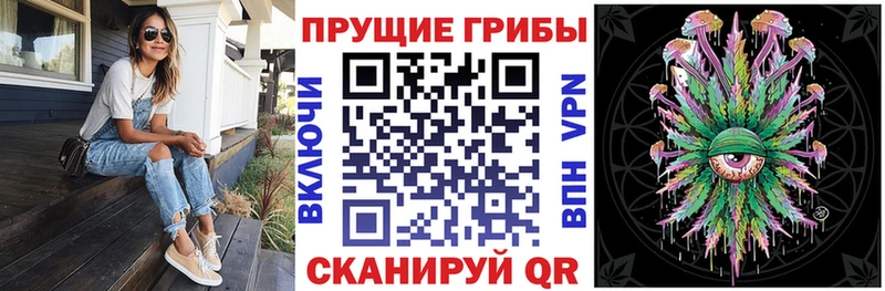 Галлюциногенные грибы ЛСД  где купить наркотик  Каменногорск 